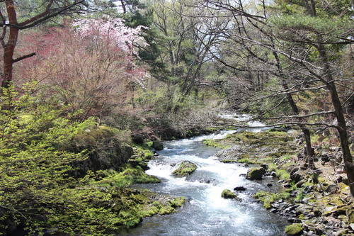 富士山温泉ホテル鐘山苑：４／２３＿１０