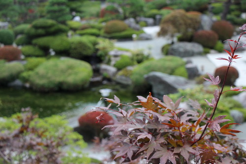 庭園の紅葉情報No.2｜富士山温泉ホテル鐘山苑