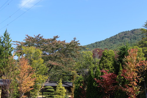 庭園の紅葉情報No.3｜富士山温泉ホテル鐘山苑