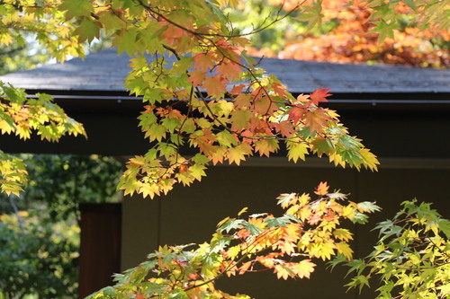 富士山温泉ホテル鐘山苑：１０／９＿４