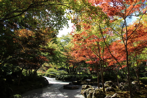 富士山温泉ホテル鐘山苑：１０／９＿６