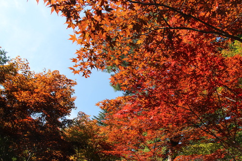 富士山温泉ホテル鐘山苑：１０／９＿７