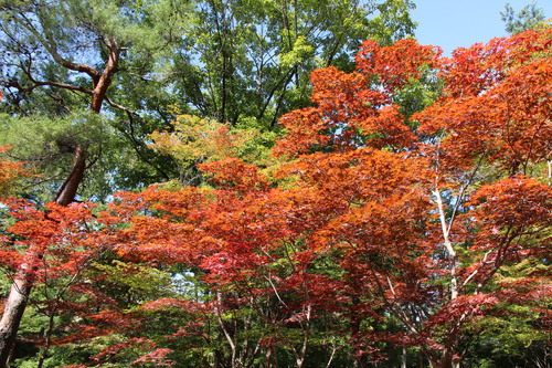 富士山温泉ホテル鐘山苑：１０／９＿８