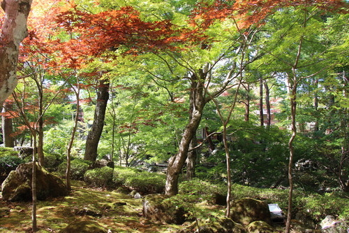 富士山温泉ホテル鐘山苑：１０／９＿９