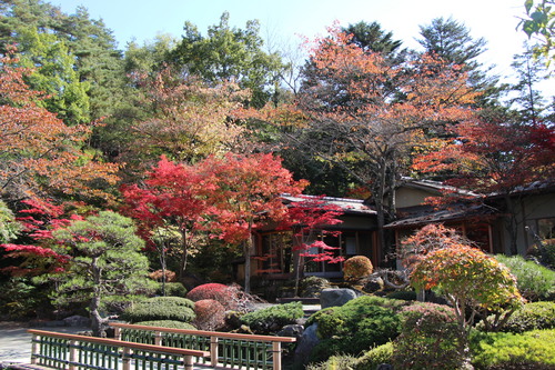 庭園の紅葉情報No.6｜富士山温泉ホテル鐘山苑