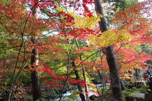 富士山温泉ホテル鐘山苑：１０／３０＿２