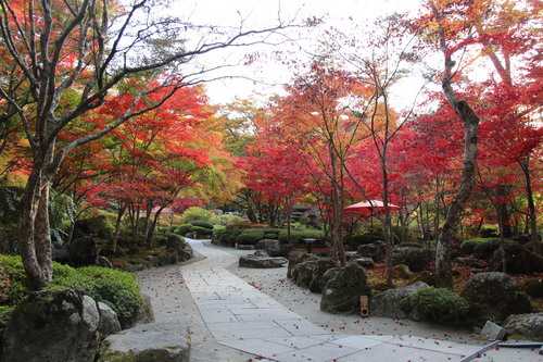 富士山温泉ホテル鐘山苑：１０／３０＿８