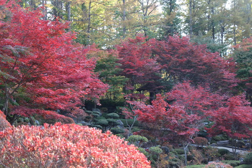 富士山温泉ホテル鐘山苑：１０／３０＿９