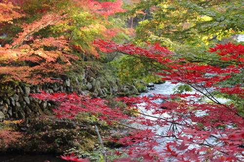 富士山温泉ホテル鐘山苑：１０／３０＿７