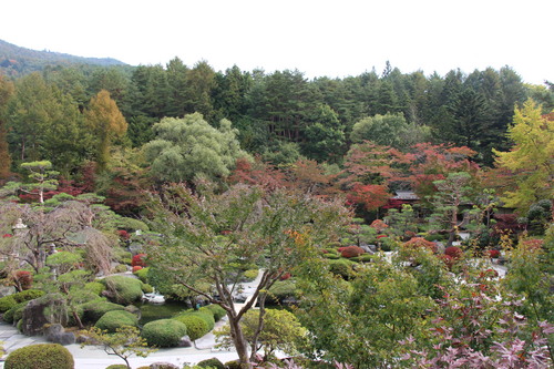 庭園紅葉