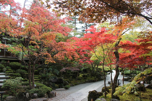 庭園紅葉