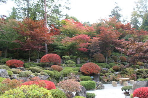 庭園紅葉