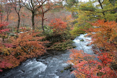 庭園紅葉