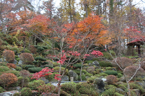 庭園紅葉