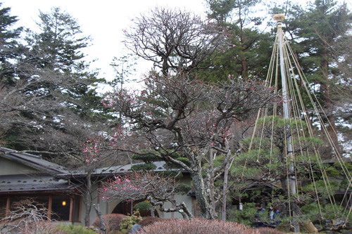 富士山温泉ホテル鐘山苑