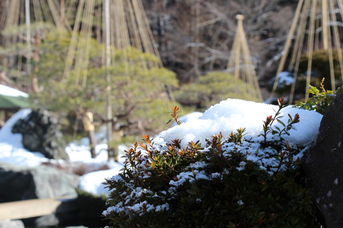 富士山温泉ホテル鐘山苑