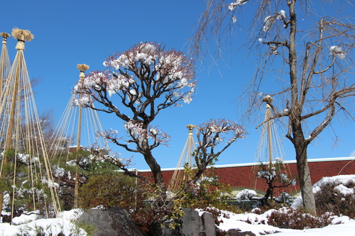 富士山温泉ホテル鐘山苑