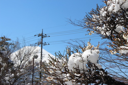 富士山温泉ホテル鐘山苑