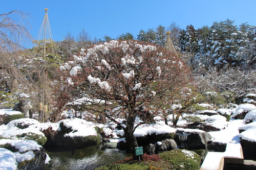 富士山温泉ホテル鐘山苑