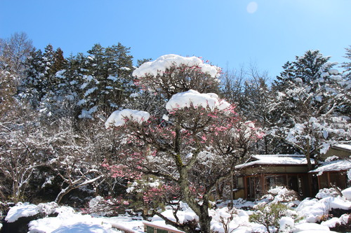 富士山温泉ホテル鐘山苑