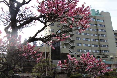 富士山温泉ホテル鐘山苑