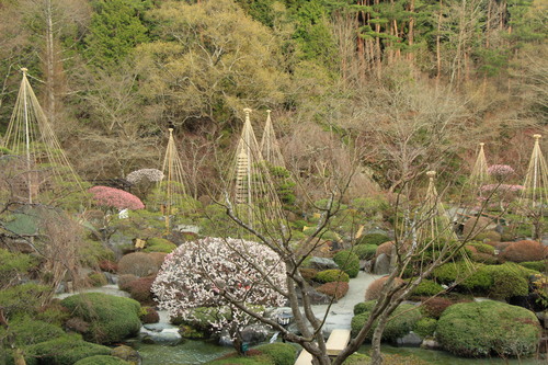 富士山温泉ホテル鐘山苑