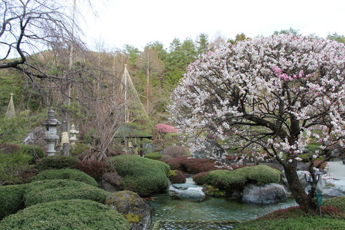 富士山温泉ホテル鐘山苑