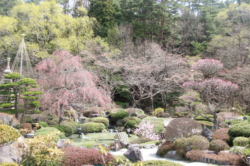 富士山温泉ホテル鐘山苑