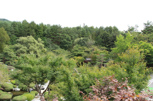 庭園の紅葉情報No.1｜富士山温泉ホテル鐘山苑