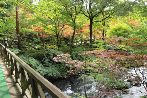 富士山温泉ホテル鐘山苑