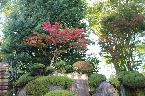 富士山温泉ホテル鐘山苑