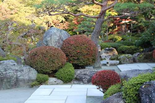 庭園の紅葉情報No.3｜富士山温泉ホテル鐘山苑