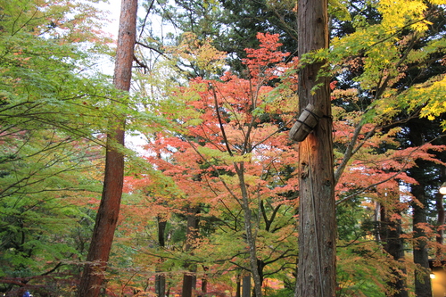 富士山温泉ホテル鐘山苑