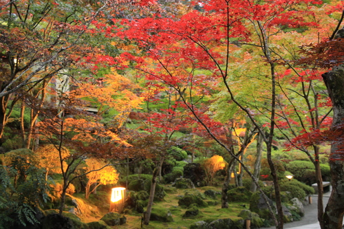 富士山温泉ホテル鐘山苑