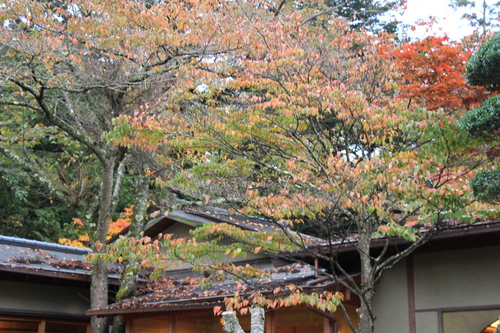 富士山温泉ホテル鐘山苑