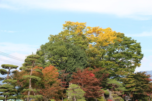 富士山温泉ホテル鐘山苑