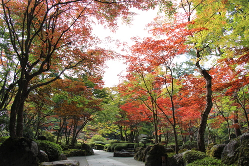 庭園の紅葉情報No.4｜富士山温泉ホテル鐘山苑