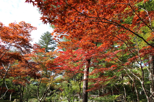 富士山温泉ホテル鐘山苑