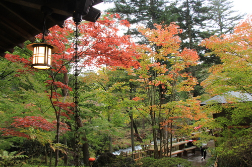 庭園の紅葉情報No.5｜富士山温泉ホテル鐘山苑