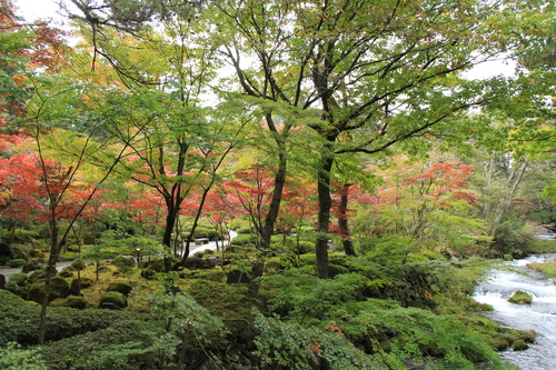 富士山温泉ホテル鐘山苑