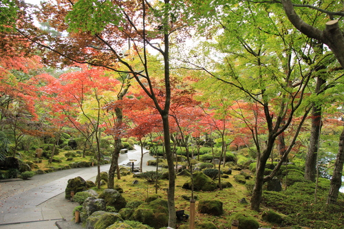 富士山温泉ホテル鐘山苑