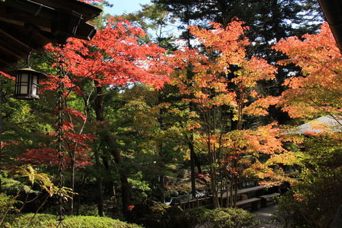 富士山温泉ホテル鐘山苑