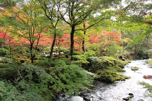 富士山温泉ホテル鐘山苑