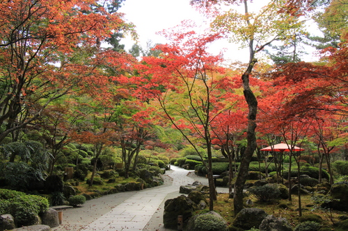 富士山温泉ホテル鐘山苑