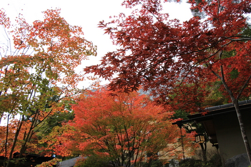 富士山温泉ホテル鐘山苑