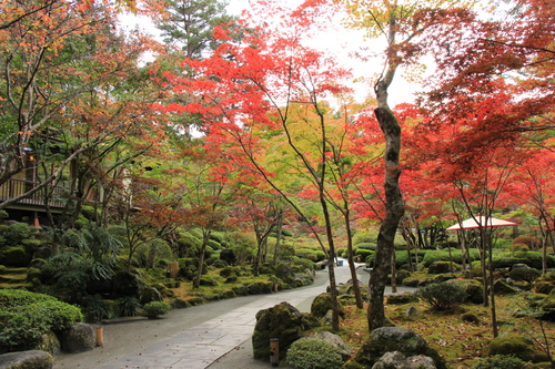 庭園の紅葉情報No.8｜富士山温泉ホテル鐘山苑