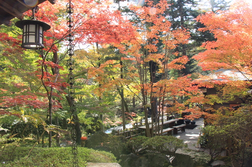 庭園の紅葉情報No.10｜富士山温泉ホテル鐘山苑