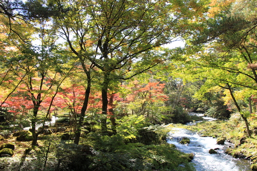 富士山温泉ホテル鐘山苑