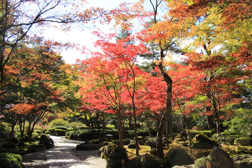 富士山温泉ホテル鐘山苑