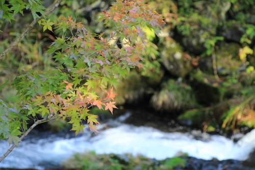 富士山温泉ホテル鐘山苑